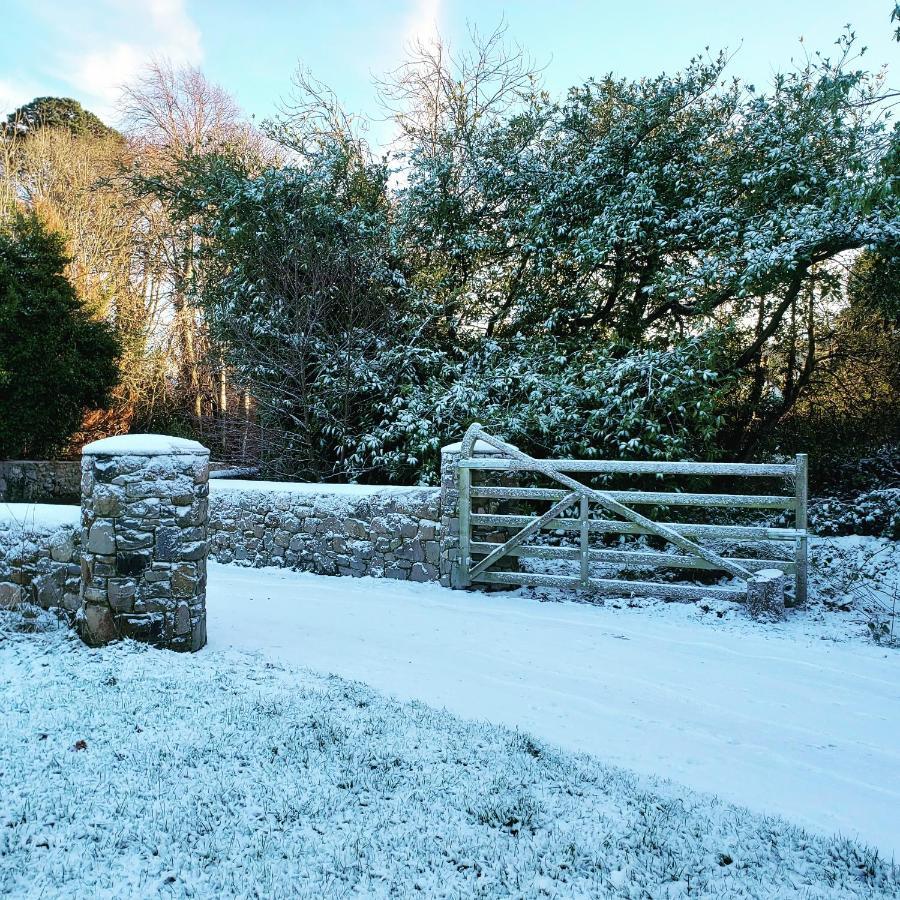 Bryansford Cottage Stables エクステリア 写真
